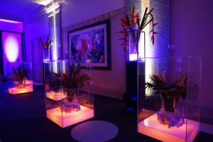 LED Collection und Iluminari 5